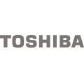 Toshiba LHL Mühldorf, Burghausen, für Altötting, München, Riem, Markt Schwaben, Hohenlinden, Waldkraiburg, Eggenfelden, Pfarrkirchen, Traunstein, Traunreut, Freilassing, Wasserburg, Dorfen, Landshut, Töging, Trostberg, Simbach, Aschau